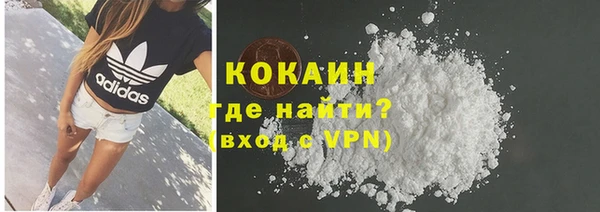 apvp Бородино