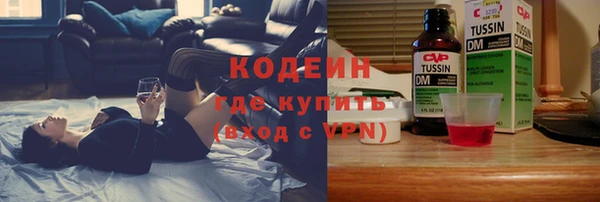 apvp Бородино