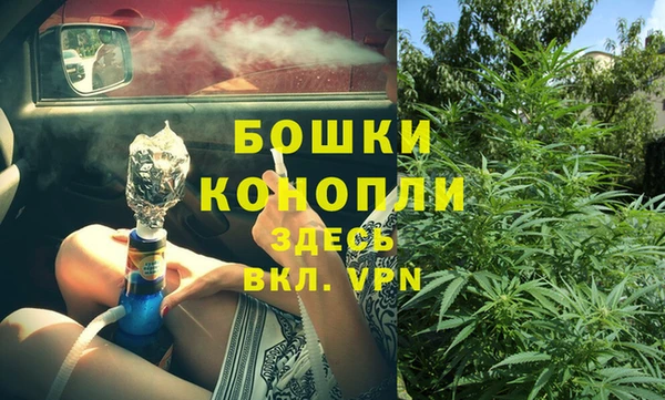 apvp Бородино