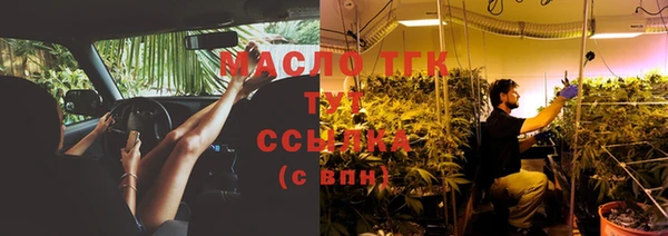 apvp Бородино